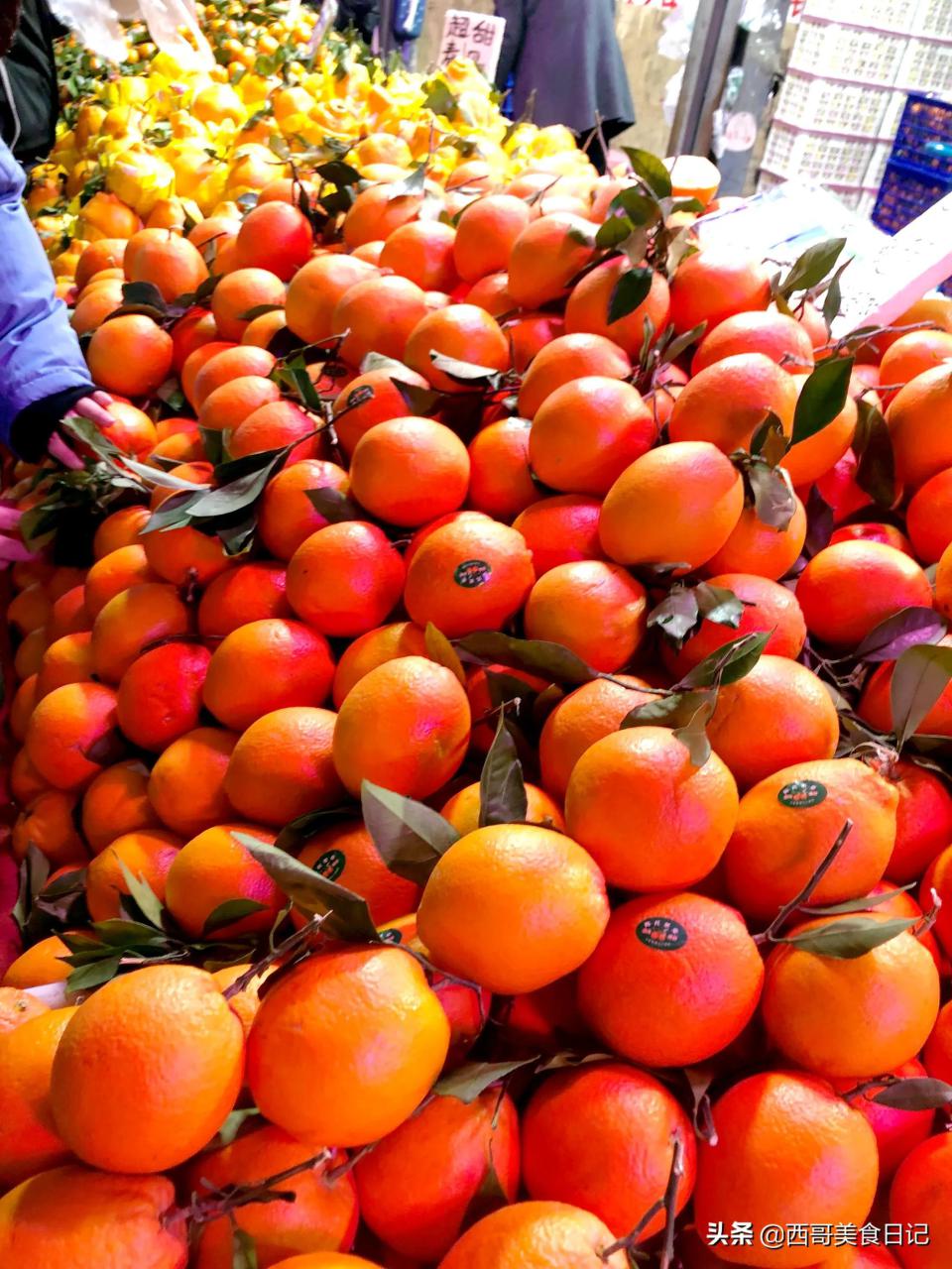 上海水果批发市场在哪里（上海八号桥水果批发市场）-米圈号