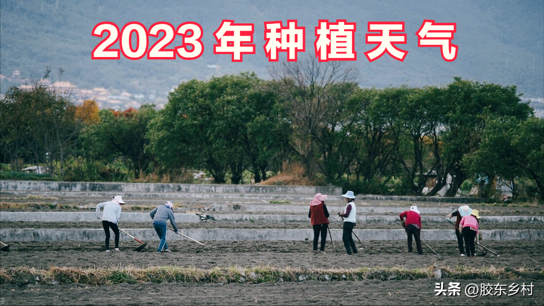 地母经关于2022一2023年的预言（农村谚语提前给你答案）-米圈号