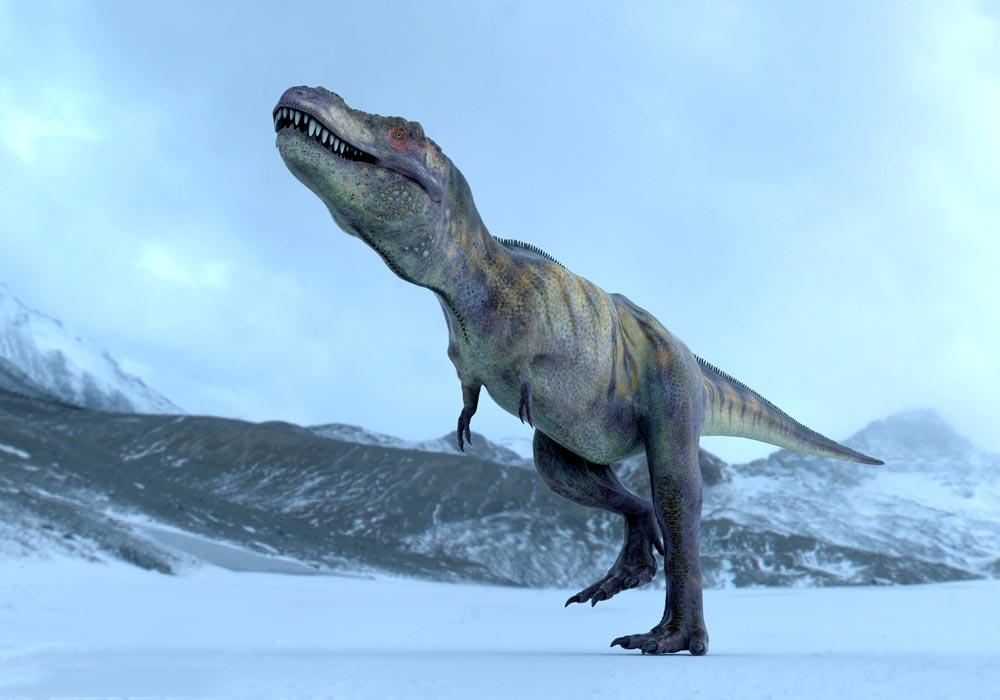恐龙出现在多少年前（恐龙历史资料简介）-米圈号