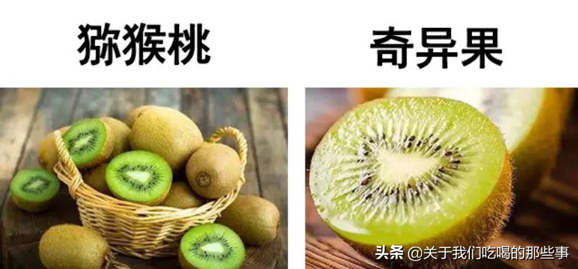 奇异果和猕猴桃是一种水果吗（奇异果和猕猴桃的区别）-米圈号