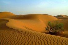 中国沙漠面积有多少平方公里（中国沙漠有几个）-米圈号