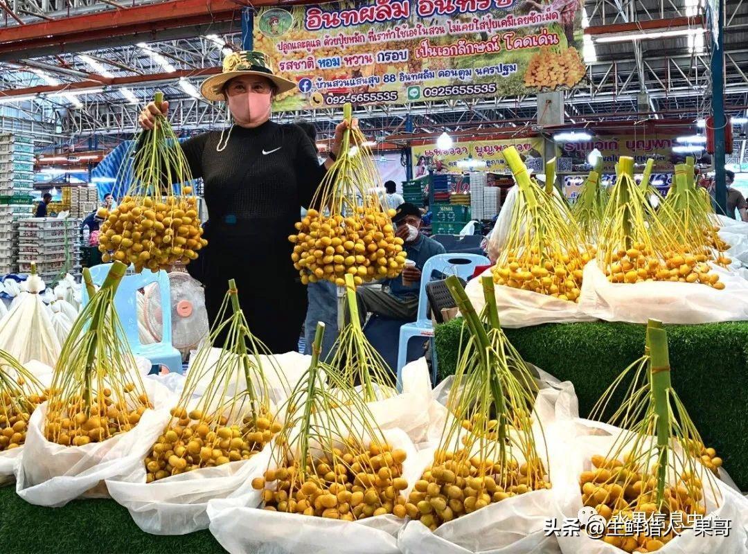 榴莲一手货源去哪里进货（东南亚最大的水果批发市场在哪里）-米圈号