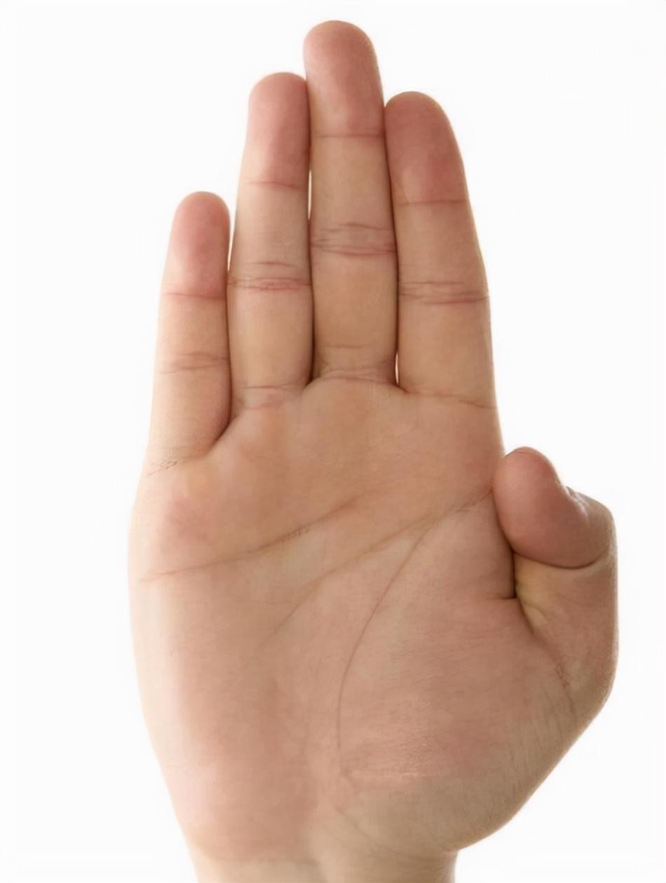 手掌上的三条线分别代表什么（手掌的纹路图解）-米圈号