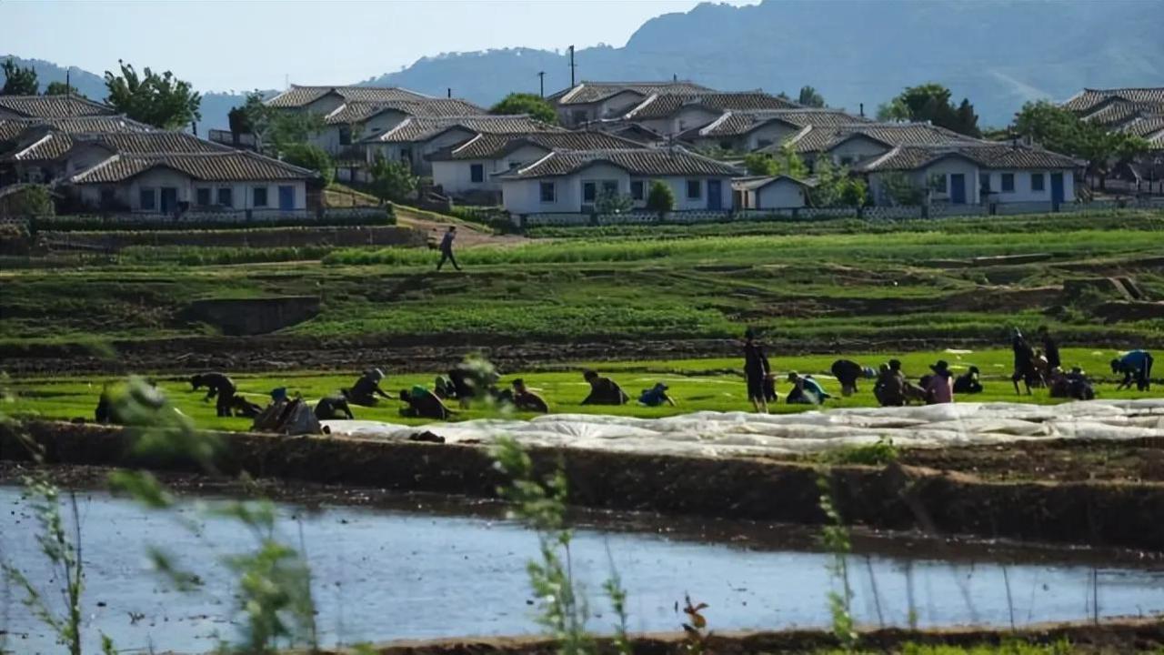 朝鲜的真实生活现状（朝鲜多少人口国土面积多少）-米圈号